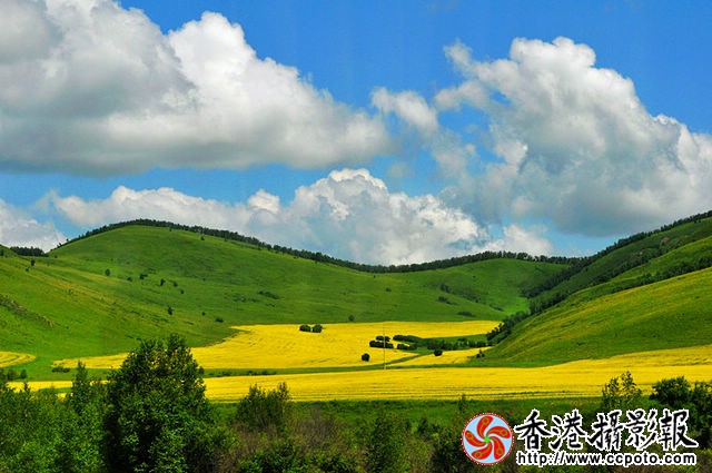 DSC_0216_副本.jpg