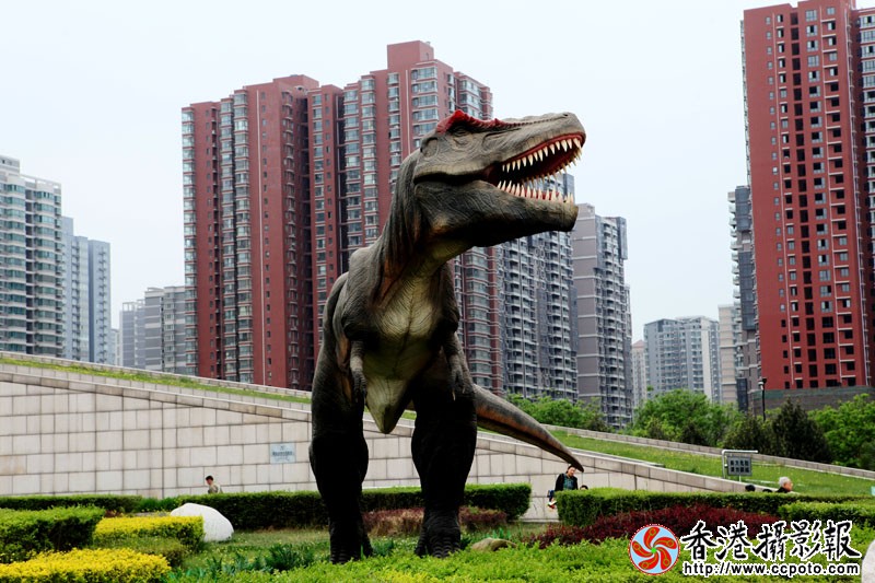 恐龙来了8272.jpg