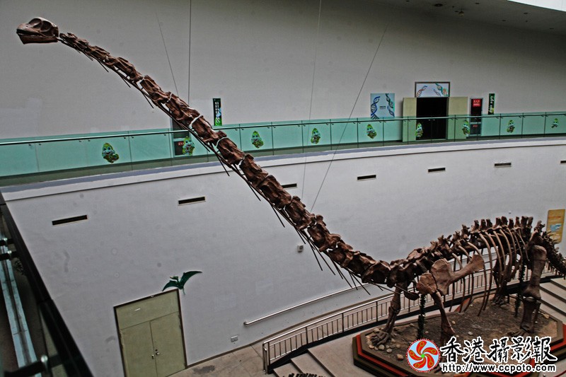 见首不见尾8269.jpg