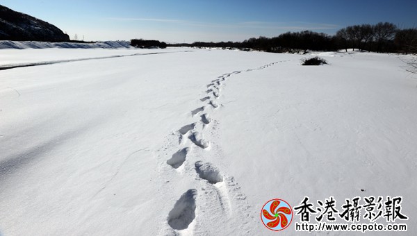 1.冰河里的春天.jpg