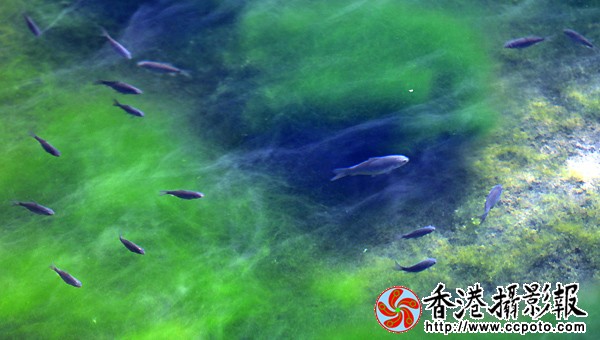 7.冰河里的春天.jpg