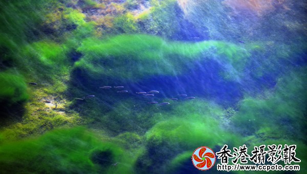 9.冰河里的春天.jpg
