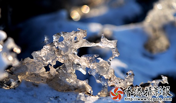 2.残雪的魅力.JPG