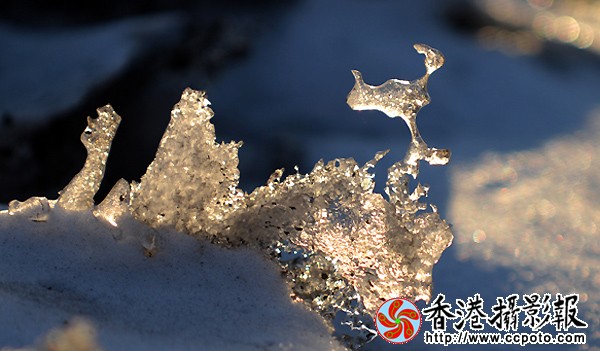 4.残雪的魅力.JPG