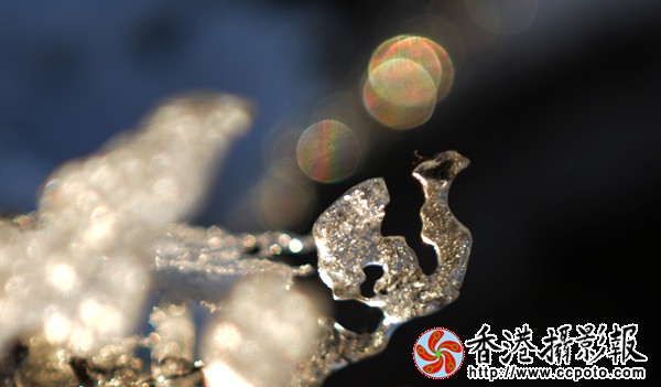5.残雪的魅力.jpg