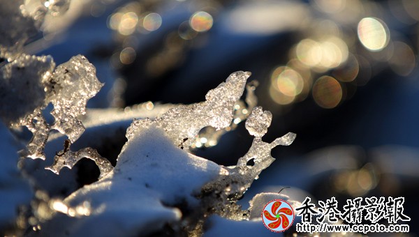 7.残雪的魅力.jpg