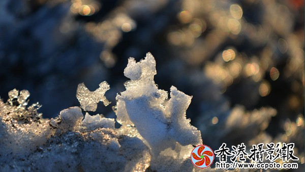 9.残雪的魅力.JPG