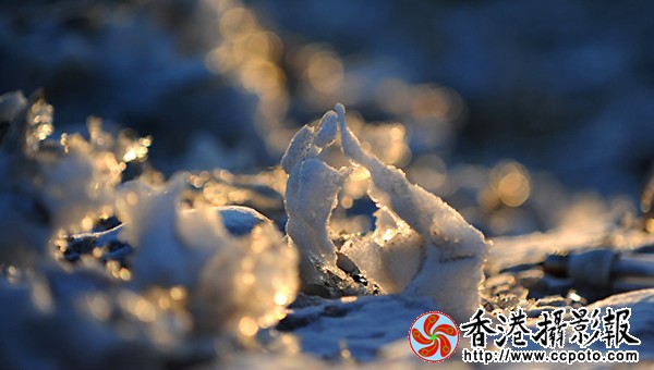10.残雪的魅力.JPG