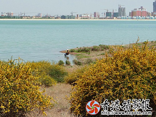 DSC03758_副本.jpg