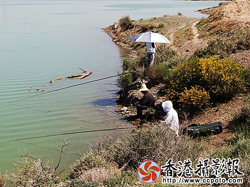DSC03763_副本.jpg