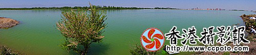 DSC03767_副本.jpg