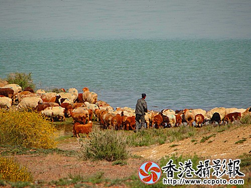 DSC03780_副本.jpg