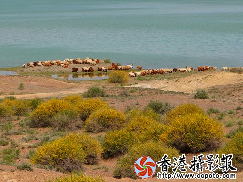 DSC03788_副本.jpg