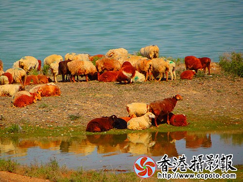 DSC03802_副本.jpg