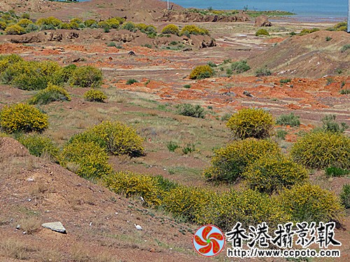 DSC03823_副本.jpg