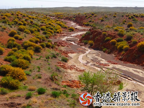 DSC03829_副本.jpg