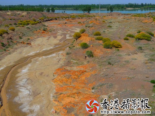 DSC03836_副本.jpg