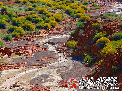 DSC03838_副本.jpg