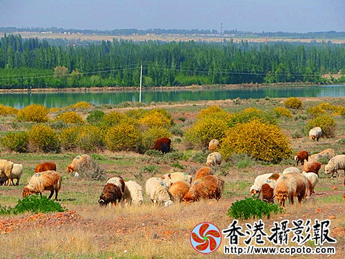 DSC03844_副本.jpg