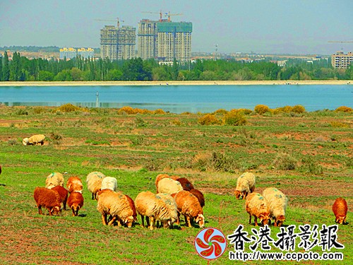 DSC03847_副本.jpg