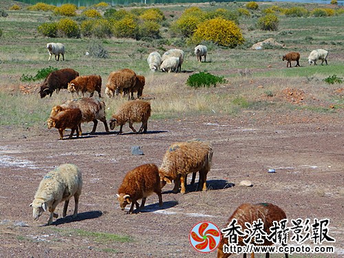 DSC03859_副本.jpg