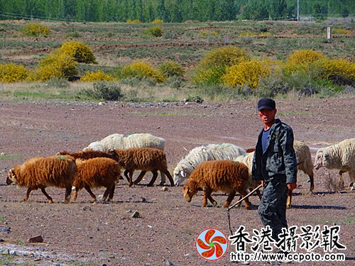 DSC03866_副本.jpg