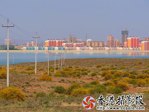 DSC03867_副本.jpg