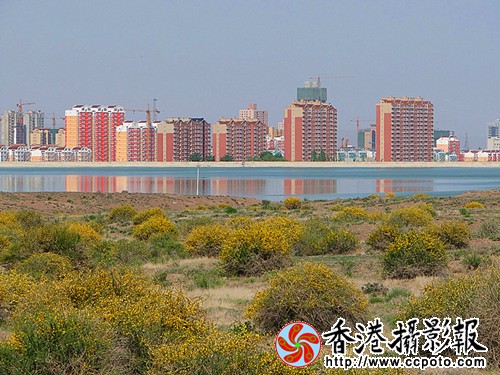 DSC03894_副本.jpg