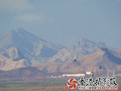 DSC03932_副本.jpg