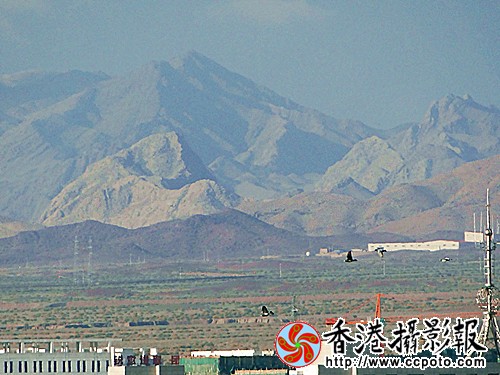 DSC03933_副本.jpg