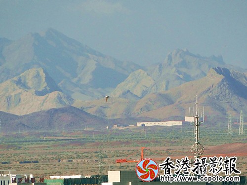 DSC03934_副本.jpg