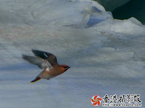 10_副本.jpg