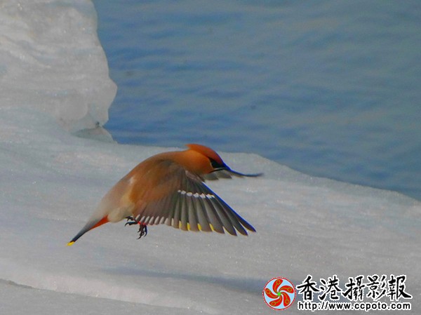 2_副本.jpg