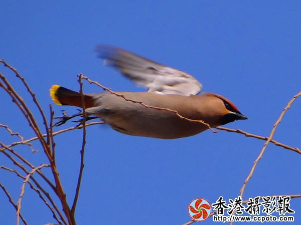 5_副本.jpg
