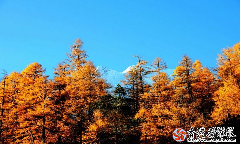 亚丁风光