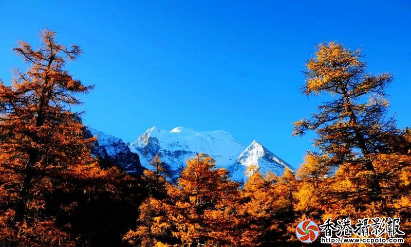 亚丁风光