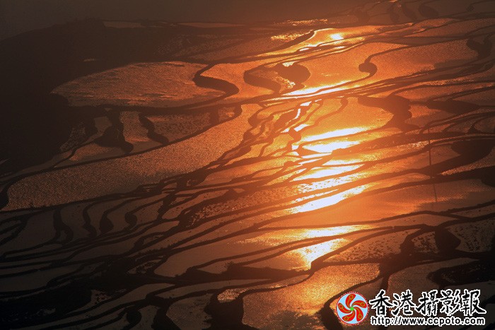 多彩元阳.jpg