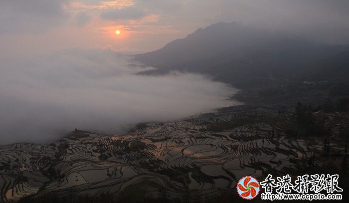 雾漫原阳.jpg