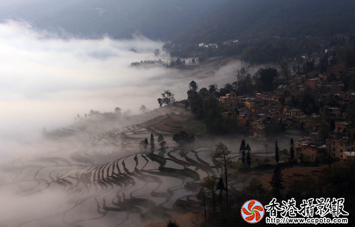仙境元阳.jpg