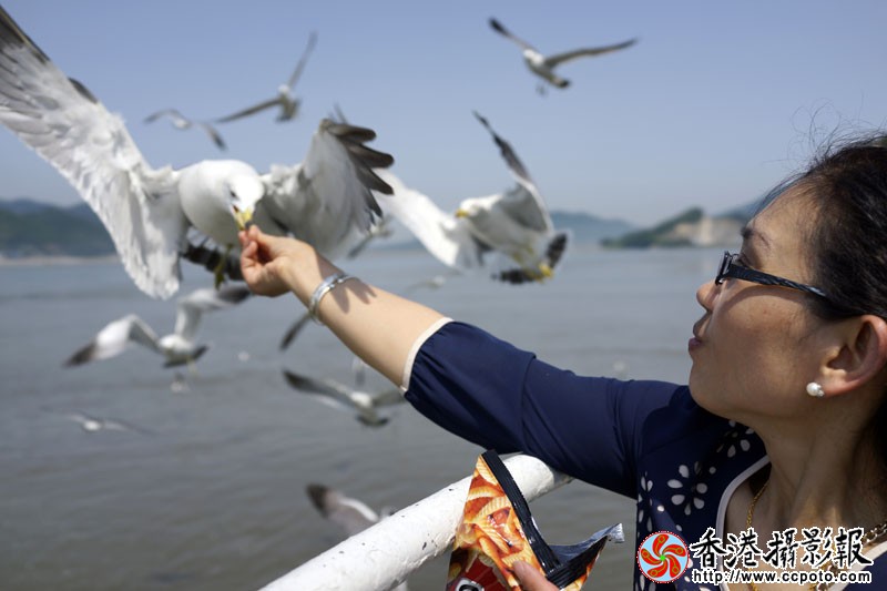 逗鸥乐4..jpg