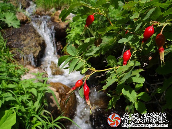 16,怪石峪山溪，摄影余国友_副本_副本.jpg