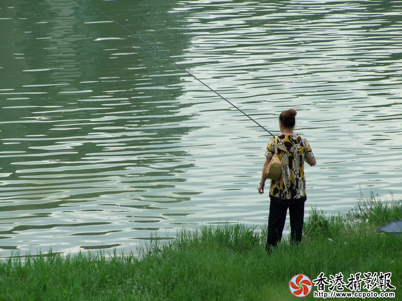 DSCF7986mnn.jpg