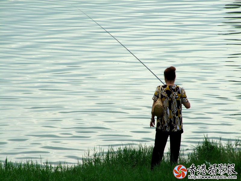 DSCF7984nnnn.jpg