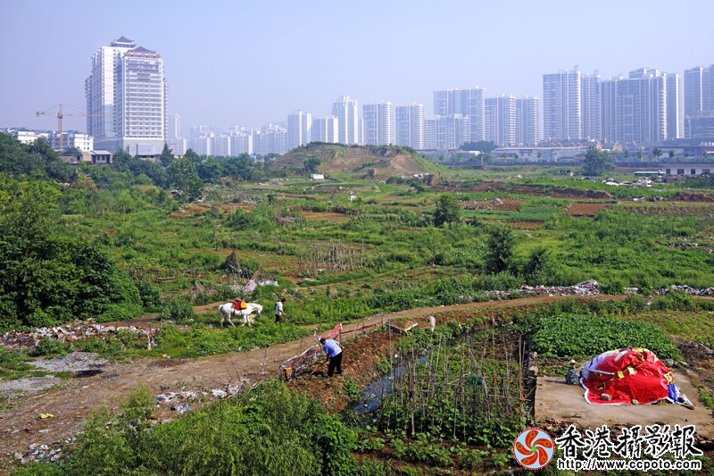 东风东关片区改造4..jpg