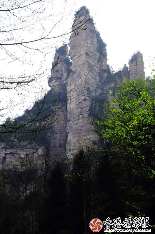 张家界著名景观—金鞭峰