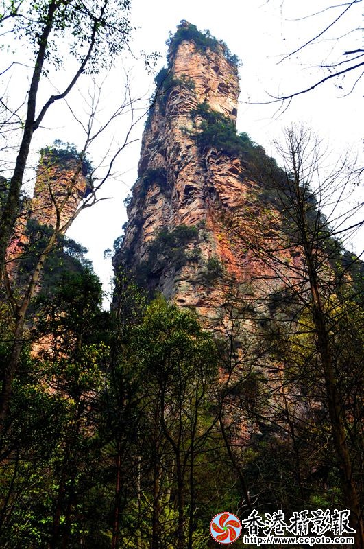 张家界著名景观—金鞭峰