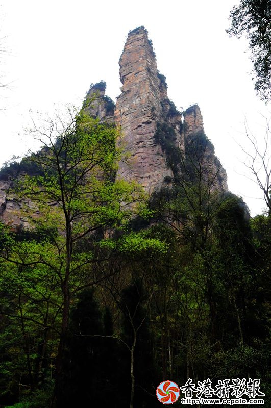 张家界著名景观—金鞭峰