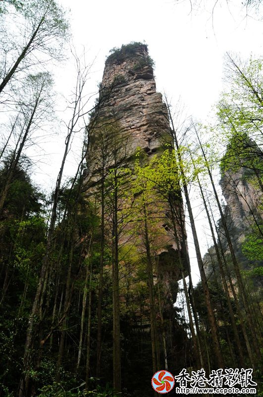 张家界著名景观—金鞭峰