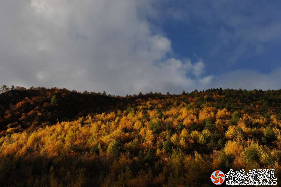 云之南 (25).JPG