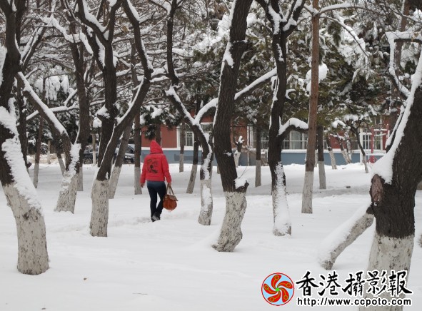 大雪 (1).jpg